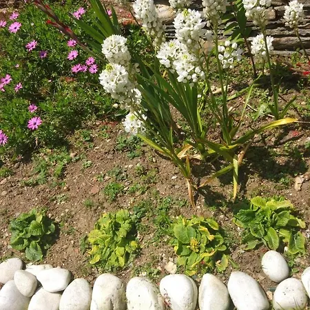 Holiday home Casita Carballo Blanco Barral